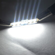Bizzar Festoon led 39mm 6smd Canbusl-f39-6smd-cb