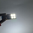 Bizzar t10 led 8smd Canbusl-t10-8smd-cb