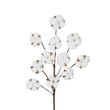GloboStar® Artificial Garden COTTON BRANCH 20569 Τεχνητό Διακοσμητικό Κλαδί Βαμβάκι Μ30 x Π6 x Υ80 cm