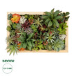 GloboStar® Artificial Garden VARIOUS PLANT 20642 Τεχνητό Διακοσμητικό Φυλλωσιάς σε Ξύλινο Πάνελ  - Κάθετος Κήπος Μιξ Μ60 x Π60 x Υ20cm