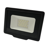 ΠΡΟΒΟΛΕΑΣ LED 30W 6000K 2400lm IP65 (LED065921)