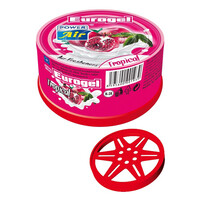 Power Air  ΑΡΩΜΑΤΙKΑ ΚΟΝΣΕΡΒΑ GEL-IN-CAN - TROPICAL