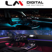 LM_Digital LM AMBIENT AD80A electriclife