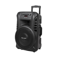 DM-0135EU . Ενεργό ηχείο 12" 40W με 2 ασύρματα μικρόφωνα, SD, Bluetooth, USB AZUSA