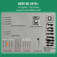 DIQ AMBIENT AUDI Q8 mod. 2018> (Digital iQ Ambient Light for Audi Q8 mod. 2018> with 19 Lights)