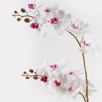 Διακοσμητικό φυτό σε γλάστρα Οrchid White Inart 36x17x65εκ