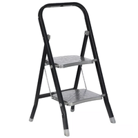 Πτυσσόμενη Σκάλα με 2 Σκαλοπάτια Urban Living 117142