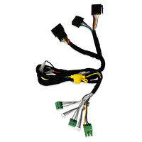 Eton Accm4 Plug and Play Καλωδίωση για Eνισχυτή Micro 250.4 d-80.001