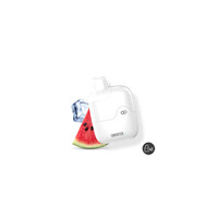 Smarter Mini Starter Kit Watermelon Ice 2x2ml 20mg