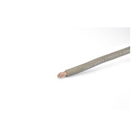 06.103.1 PHONOCAR electriclife