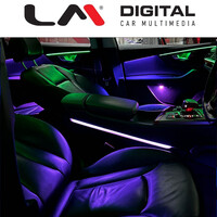 LM AMBIENT AUDI 10 electriclife