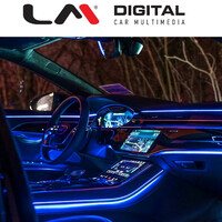 LM AMBIENT AUDI 11 electriclife