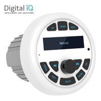 DIQ YT800W (RADIO-DAB-BT 5.0-AUX - 110mm)