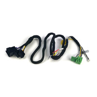 Eton ETU-ACCM2 - ETON 2-CH PnP Connection Cable for MICRO120.2