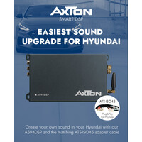 Axton Axton A594 Dsp upgrade for Hyundai kia
