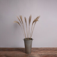 GloboStar® MISCANTHUS 36538 Αποξηραμένο Φυτό Μίσχανθος - Μπουκέτο Διακοσμητικών Κλαδιών Μπεζ Υ120cm