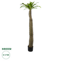GloboStar® Artificial Garden PACHYPODIUM LAMEREI PALM TREE 20130 Τεχνητό Διακοσμητικό Φυτό Φοίνικας της Μαγαδασκάρης Υ175cm