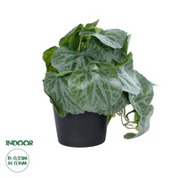 GloboStar® Artificial Garden STRAWBERRY PLANT 20950 Διακοσμητικό Φυτό Φραουλιά Φ23 x Υ16cm