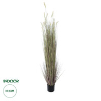 GloboStar® Artificial Garden BEIGE LAGURUS 21104 Διακοσμητικό Φυτό Μπεζ Λαγοουρά Υ180cm