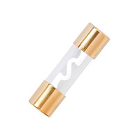 DM-1523 . Ασφάλεια αυτοκινήτου 60A 10,3x38mm