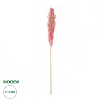 GloboStar® Artificial Garden PAMPAS GRASS 21218 Αποξηραμένο Διακοσμητικό Γρασίδι Πάμπας Μ10 x Π10 x Υ150cm