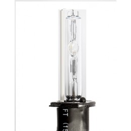 XENON H1 LAMP 6K electriclife