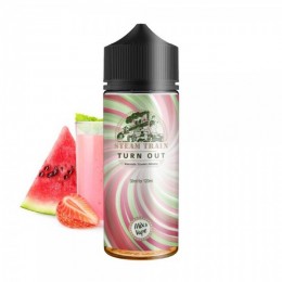 Steamtrain Flavour shot Turn Out 24ml/120ml