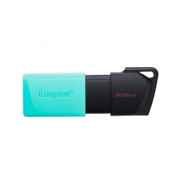 Kingston Dataraveler Exodia M 256GB USB 3.2 Gen 1 (DTXM/256GB) (KINDTXM/256GB)