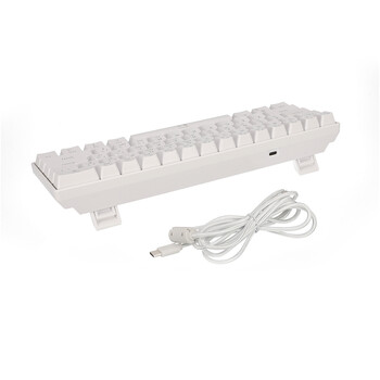 LGP RGB MECHANICAL GAMING KEYBOARD BLUE SWITCH WHITE WITH TYPE-C PORT "PLUTO"