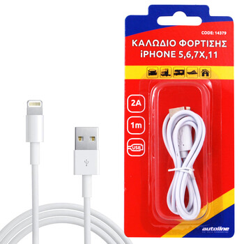 OEM  ΚΑΛΩΔΙΟ ΦΟΡΤΙΣΗΣ LIGHTNING 1m