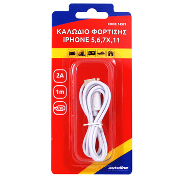 OEM  ΚΑΛΩΔΙΟ ΦΟΡΤΙΣΗΣ LIGHTNING 1m