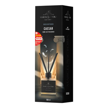 0006850TA070/OTO ΑΡΩΜΑΤΙΚΟ ΧΩΡΟΥ 100ml ΜΕ STICKS - CAESAR