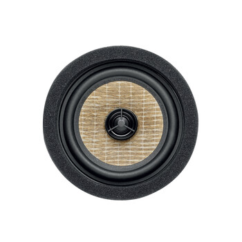 IC MBZ 100 V2
