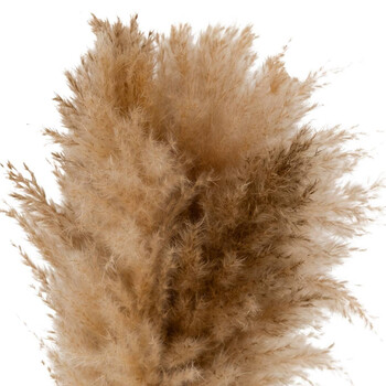 Atmosphera Ανθοσύνθεση με Λευκό Κεραμικό Βάζο "Glen" Ύψους 42εκ 206532