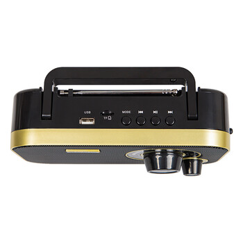 DM-77-542 . Φορητό αναλογικό ραδιόφωνο AM/FM BLOW RA12 μαύρο-χρυσό