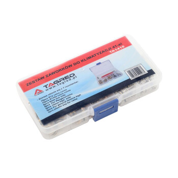 Σετ Βαλβίδες Πλήρωσης A/C Αυτοκινήτου με Κλειδί 41 τμχ TAGRED TA1410