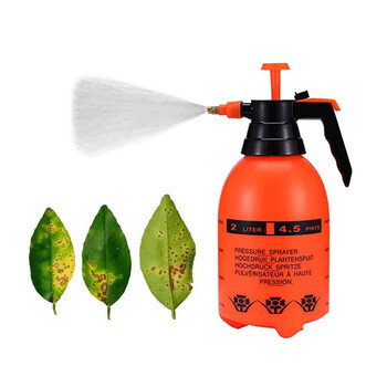 Ψεκαστήρας Πίεσης Χειρός 2 Lt Verk Group 5907451343272