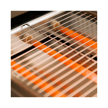 Οριζόντια Φρυγανιέρα 3 Αντιστάσεων 1000 W Cecotec NiceSlice Inox CEC-03274