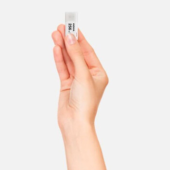 KIOXIA USB 3.0 FLASH STICK 256GB HAYABUSA WHITE U301