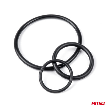 03109/AM ΛΑΣΤΙΧΑ O-RING ΑMiO - 419 TEM.
