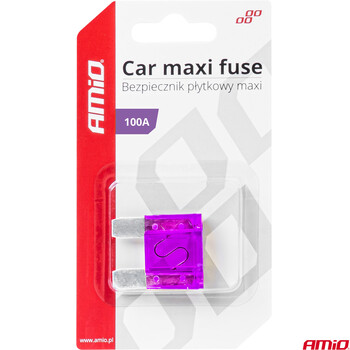 03387/AM ΑΣΦΑΛΕΙΑ MAXI 100A AMIO - 1 Τεμ.