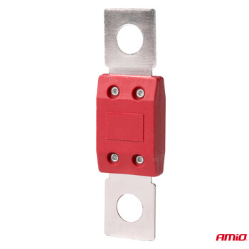 03462/AM ΑΣΦΑΛΕΙΕΣ MEGAVAL 80A AMIO - 2 Τεμ.