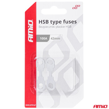 03502/AM ΑΣΦΑΛΕΙΕΣ FLAT 42mm 100A AMIO - 2 Τεμ.