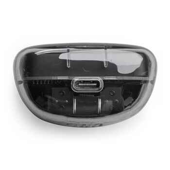 JBL TUNE FLEX (GHOST BLACK)