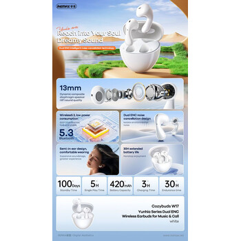 REMAX CozyBuds W17 Dual ENC Wireless Earbuds