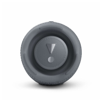 JBL CHARGE 5 (GREY)