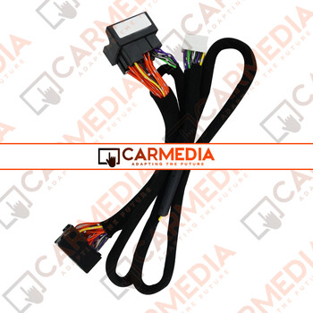 CARMEDIA Cable 25 VW - AUDI