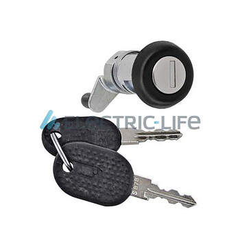 ZR80382 electriclife