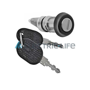 ZR80384 electriclife