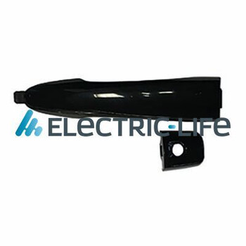 ZR80891 electriclife